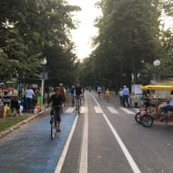 Vilsonovo šetalište, a tree lined avenue, busy with people promenading